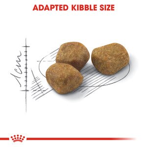 ROYAL CANIN® Fit 32 10kg